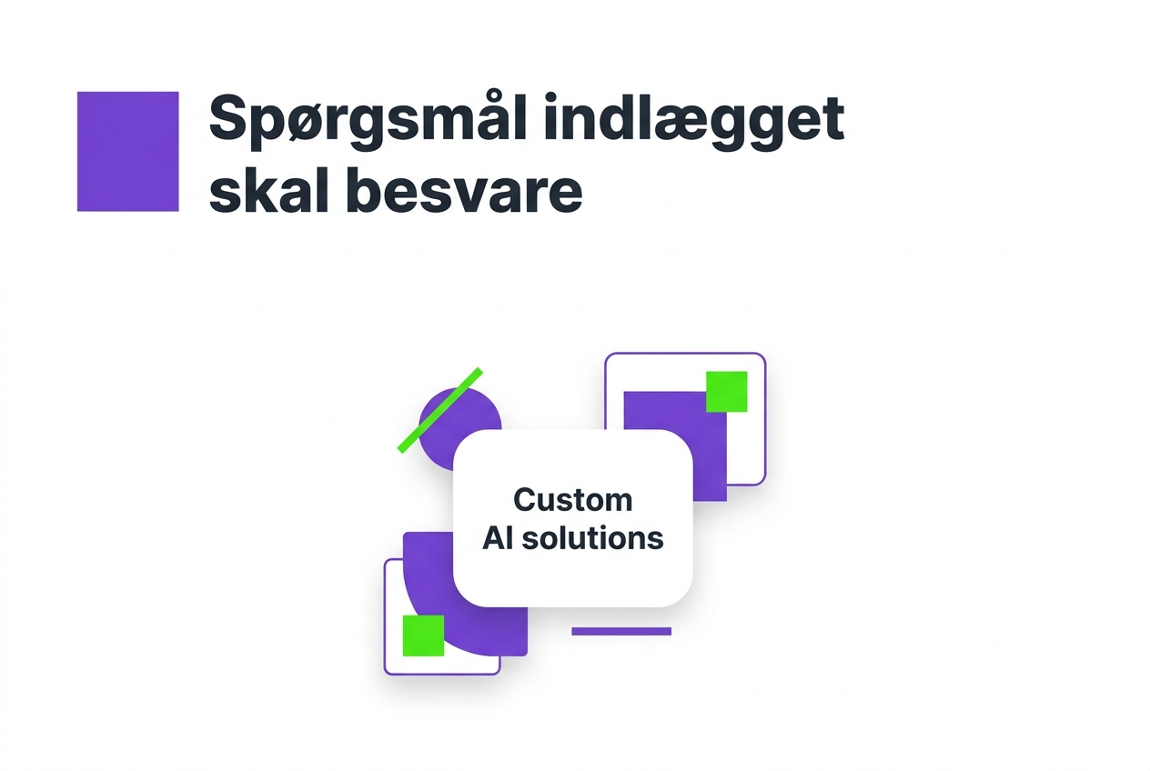 Spørgsmål indlægget skal besvare