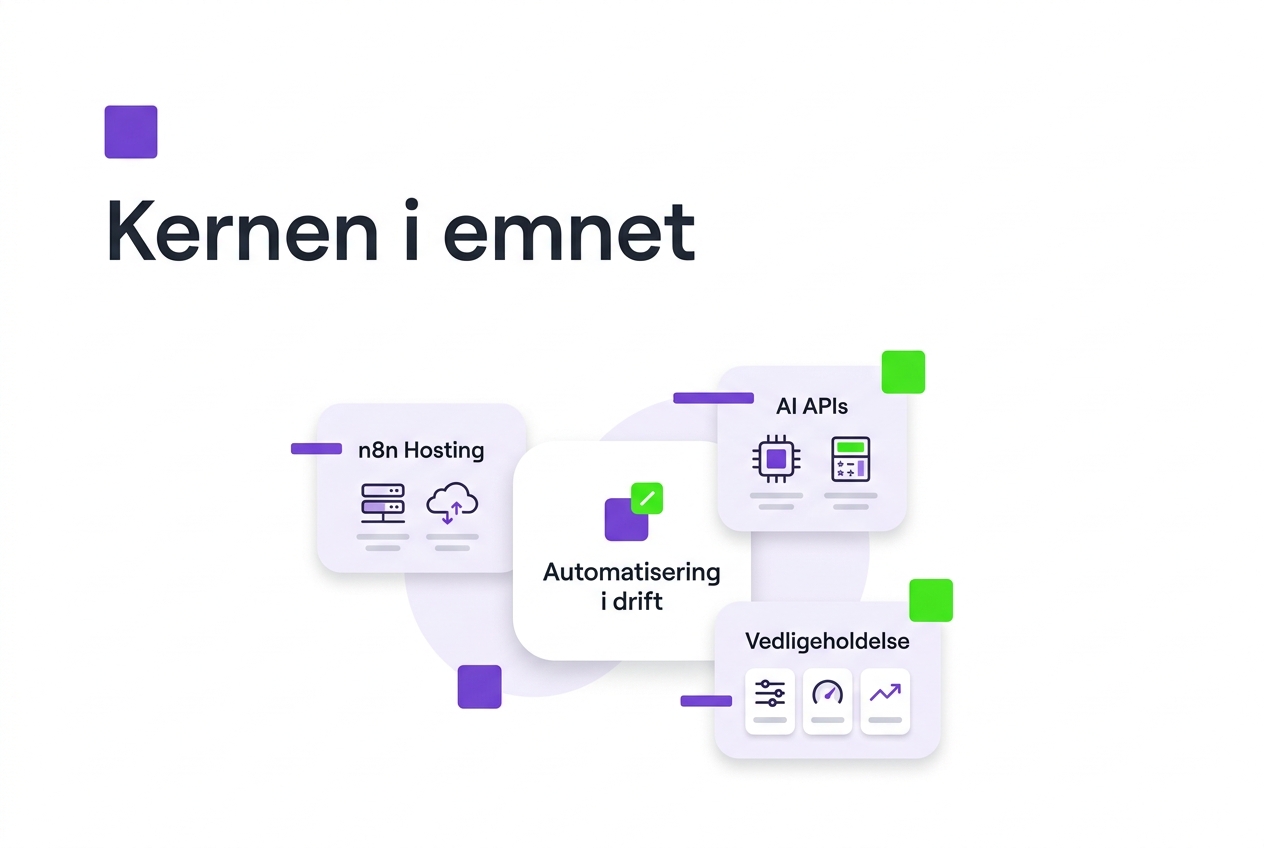 Kernen i emnet