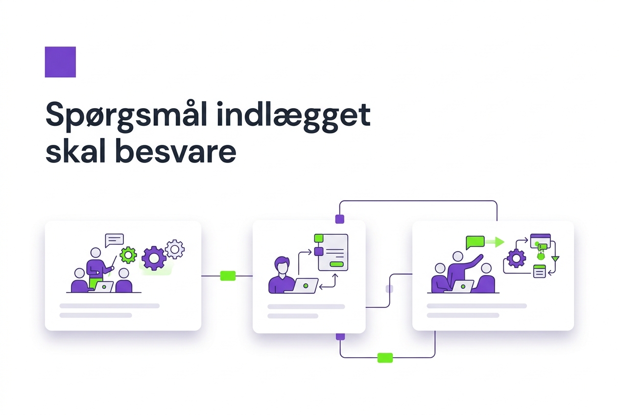 Spørgsmål indlægget skal besvare