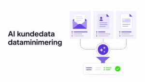 AI kundedata dataminimering