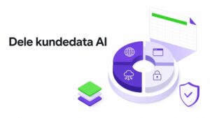 Dele kundedata AI